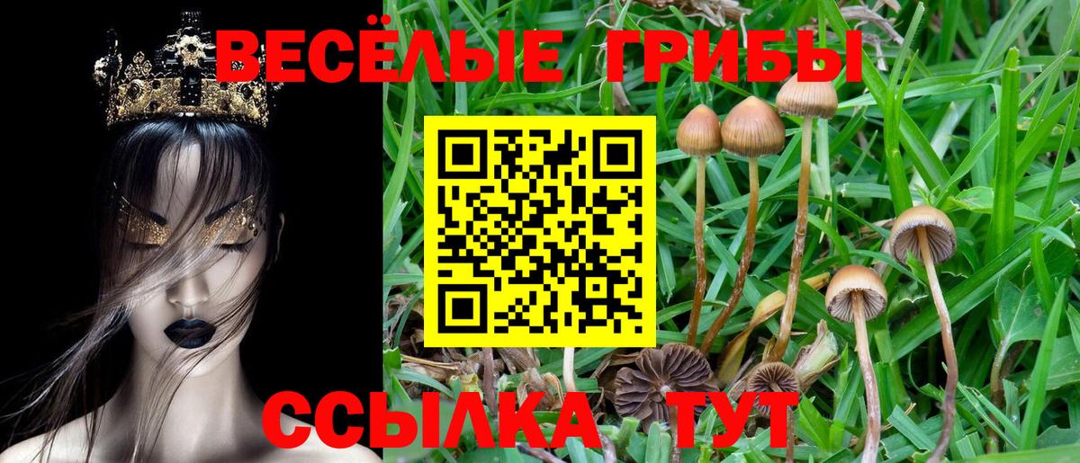 Ухта  Псилоцибиновые грибы MAGIC MUSHROOMS  Вход с VPN 