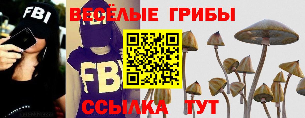 Псилоцибиновые грибы ЛСД Ухта